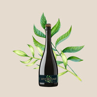 BUCCO – Alkoholfreier Aperitif