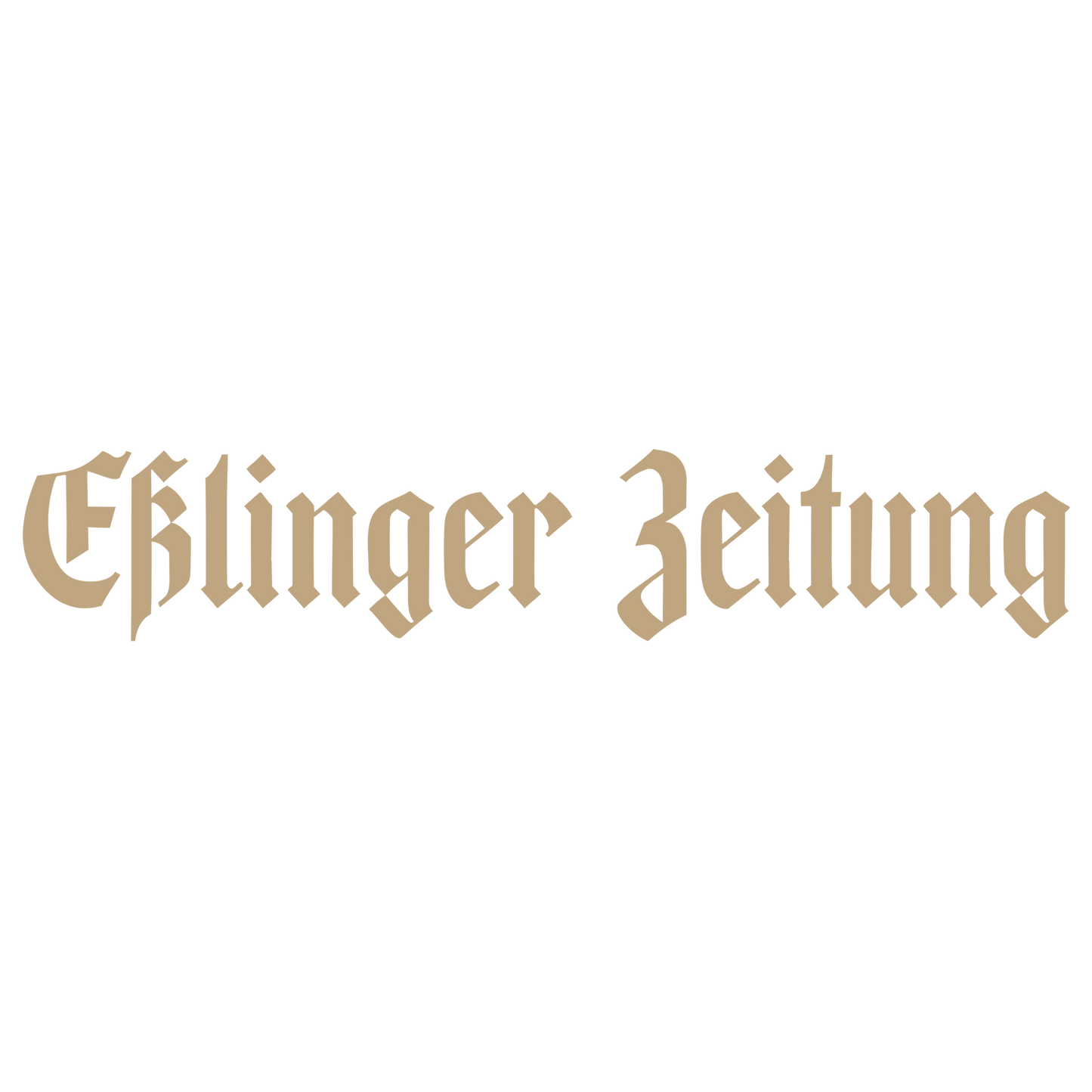 Esslinger Zeitung