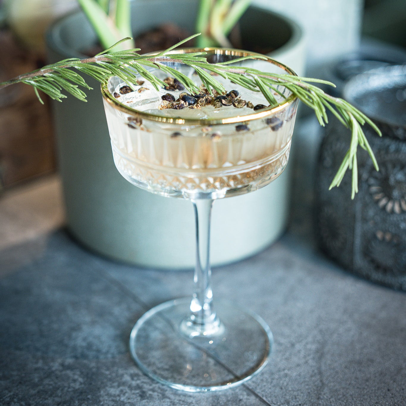 JUNIPER: Die Kraft von Juniperus Communis