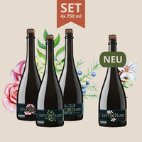 Set: WINTER – Alkoholfreie Aperitifs
